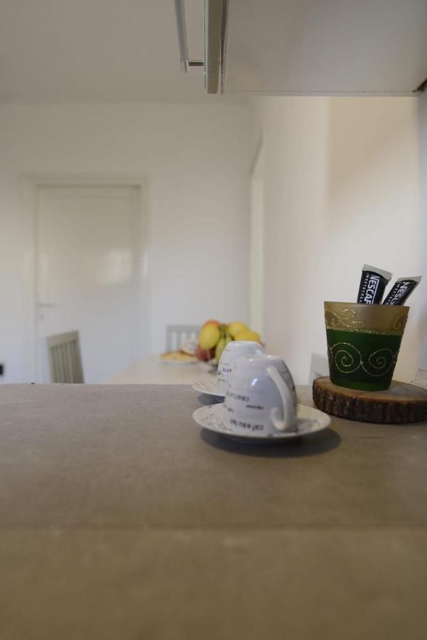 Apartament Domagoj Zadar Zewnętrze zdjęcie